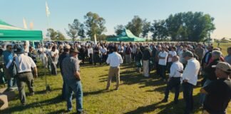 La nueva generación de soja ya está en el campo