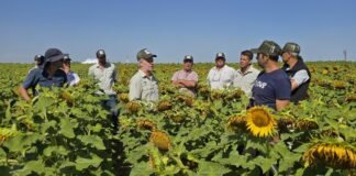 Una semillera con 20 años de innovación y expandiendo sus fronteras