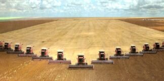La economía argentina podría dar un gran salto productivo