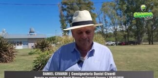 Entrevista a Daniel Civardi