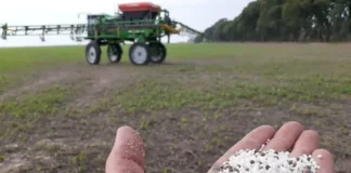 Alerta por la urea: el precio aumentó un 40 %