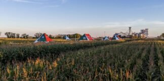 Experiencia SupraRoad: Del campo a la genética