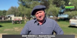 Entrevista a Bruno Mancinelli