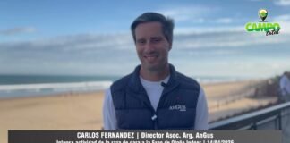 Entrevista a Carlos Fernández
