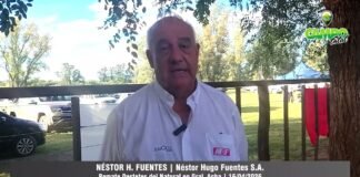 Entrevista a Néstor H. Fuentes