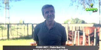 Entrevista a Pedro Irey