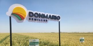 Una campaña con mejores márgenes y fuerte renovación genética