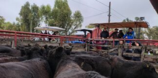 Las lluvias, “bendijeron” la invernada