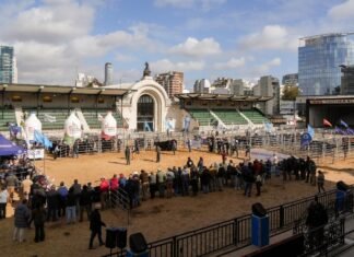 Los lotes PP coparon la pista central