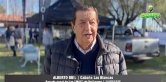 Entrevista a Alberto Guil