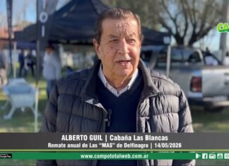 Entrevista a Alberto Guil