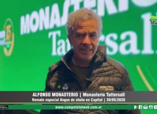 Entrevista a Alfonso P. Monasterio