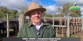 Entrevista a Daniel Civardi