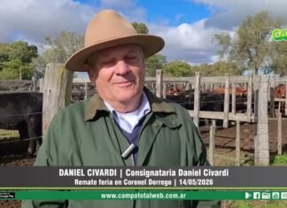 Entrevista a Daniel Civardi