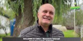 Entrevista a Guillermo Di Carlo