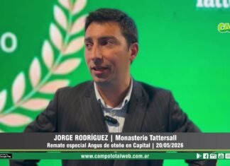 Entrevista a Jorge Rodríguez