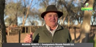 Entrevista a Ricardo Peiretti