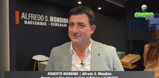Entrevista a Roberto Mondino