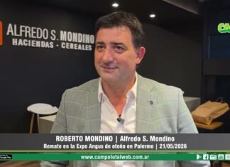 Entrevista a Roberto Mondino