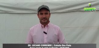 Entrevista a Luciano Correndo