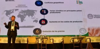 La fina ¿camino a otra campaña destacada?