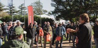 Agronomía, la base para tomar decisiones integrales en maíz
